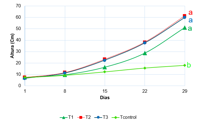 Gráfico, Gráfico de líneas

Descripción generada automáticamente