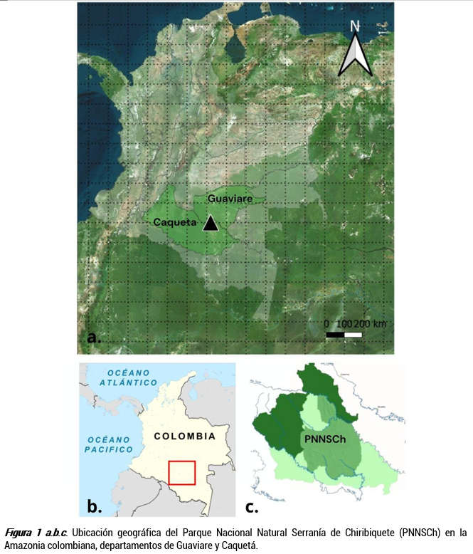 Ubicación geográfica del Parque Nacional Natural Serranía de Chiribiquete (PNNSCh) en la Amazonia colombiana, departamentos de Guaviare y Caquetá.