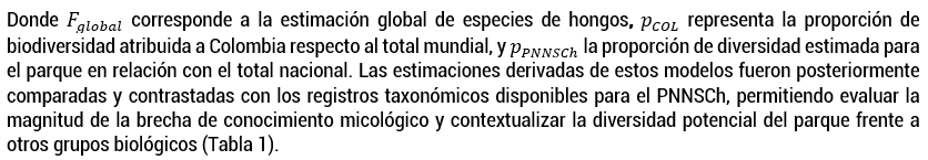 imagen5