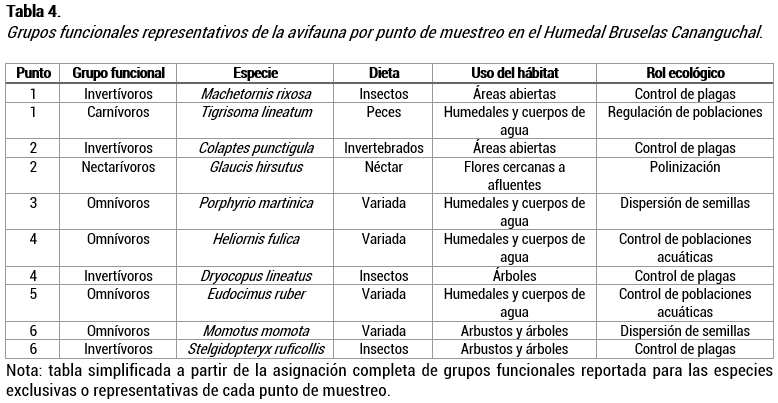 Grupos funcionales representativos de la avifauna por punto de muestreo en el Humedal Bruselas Cananguchal.