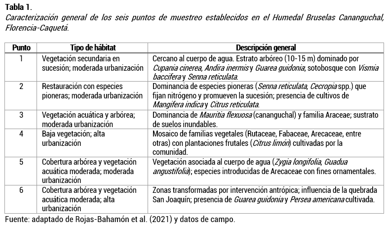 imagen2