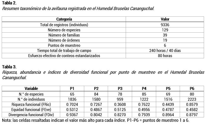 imagen3