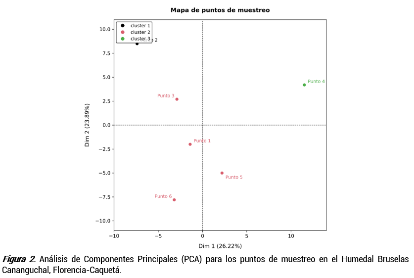 imagen4