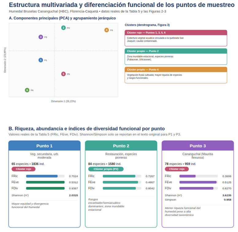 Síntesis de la estructura multivariada (PCA y clústers) y de los índices de diversidad funcional (FRic, FEve, FDiv) por punto de muestreo en el Humedal Bruselas Cananguchal