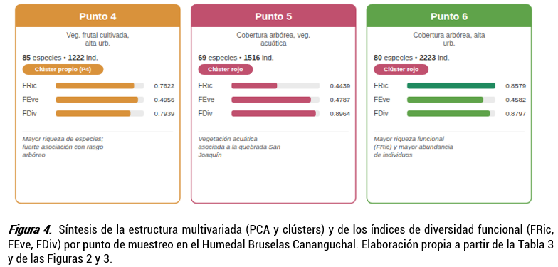 Síntesis de la estructura multivariada (PCA y clústers) y de los índices de diversidad funcional (FRic, FEve, FDiv) por punto de muestreo en el Humedal Bruselas Cananguchal
