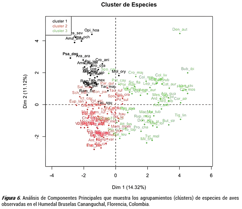 Análisis de Componentes Principales que muestra los agrupamientos (clústers) de especies de aves observadas en el Humedal Bruselas Cananguchal, Florencia, Colombia