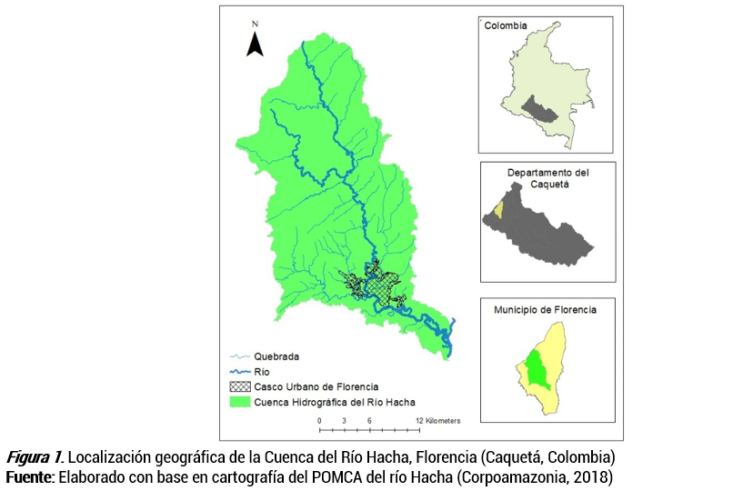 imagen1